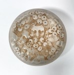 Boite « Masques et Roses »